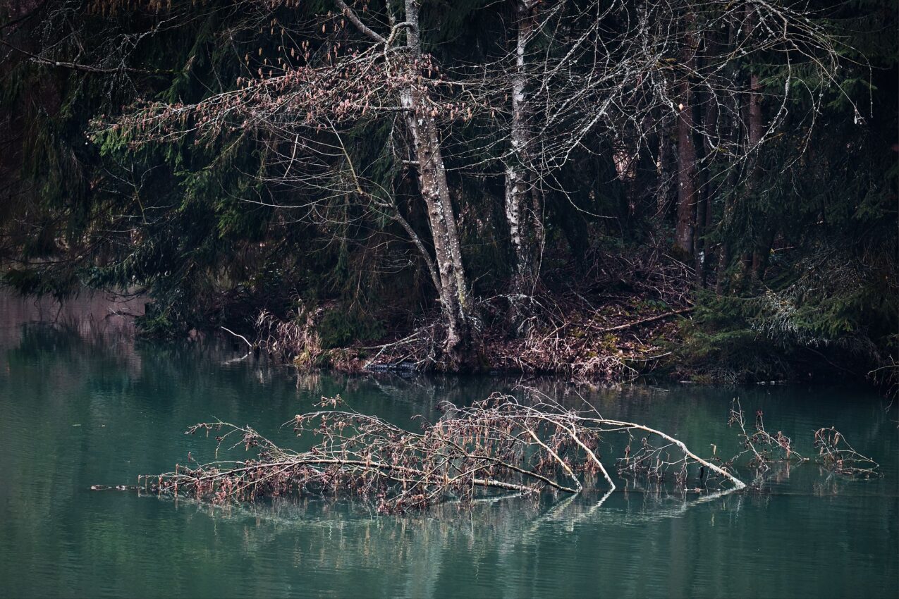 LoRes20200229_DSF2861