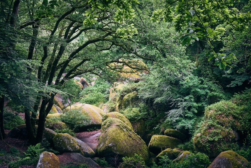 LoRes_20190606_DSF8290