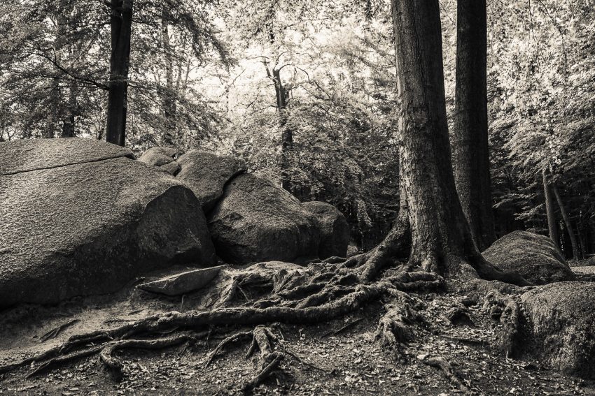 LoRes_20200920_DSF4872