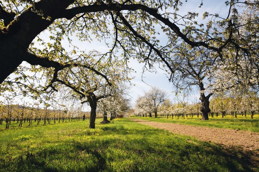 LoRes_20210422_DSF6850