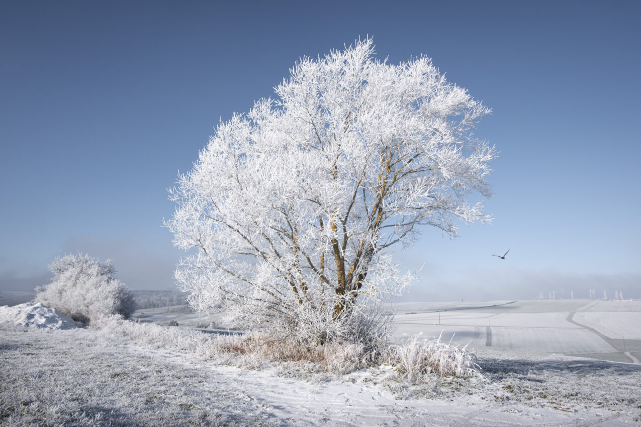 LoRes_20221217-_DSF1216