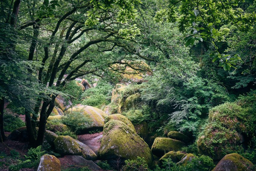 LoRes_HiRes_20190606_DSF8290