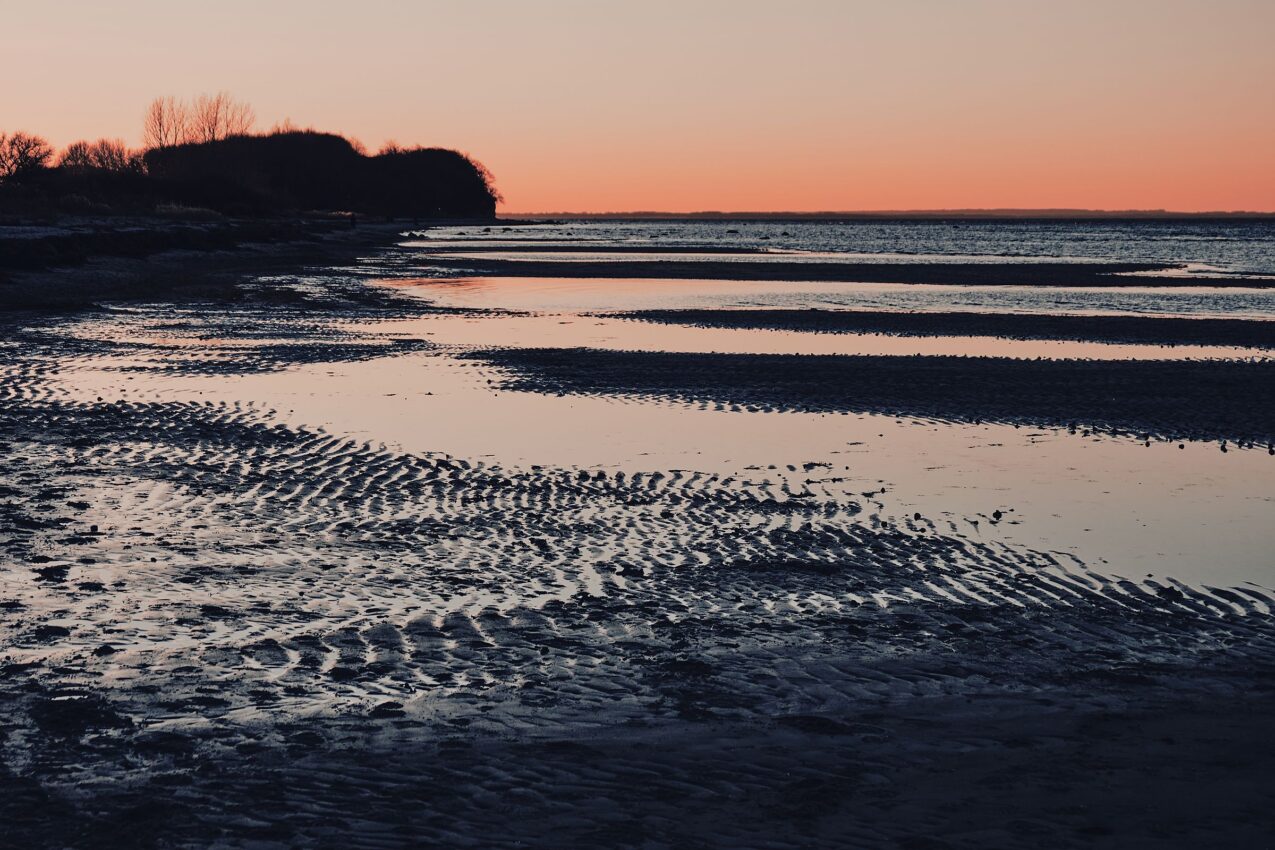 LoRes_HiRes_20191230_DSF2414