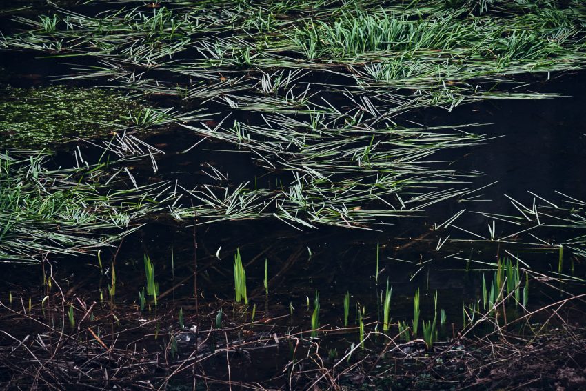 LoRes_HiRes_20200229_DSF2907