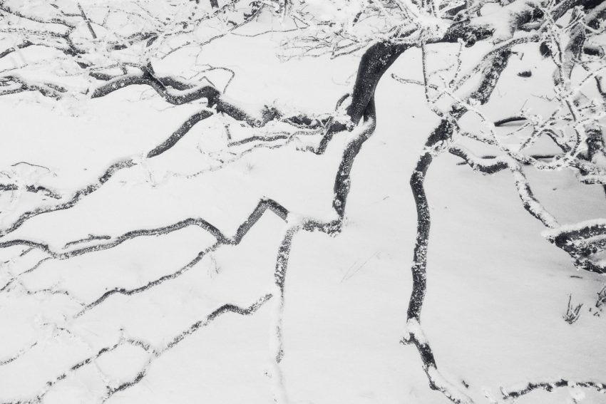 LoRes_HiRes_20201212_DSF6501