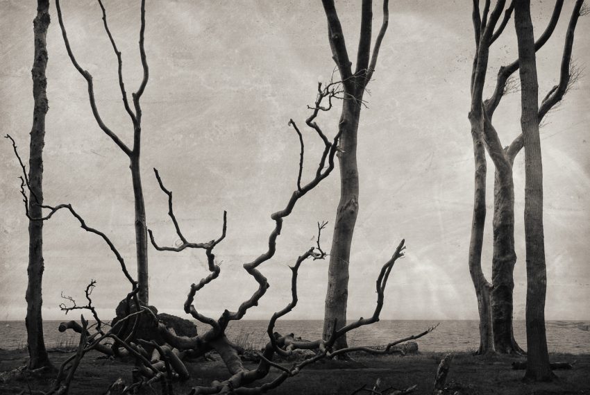 LoRes_HiRes_HiRes_20181228_DSF4983-Exposure