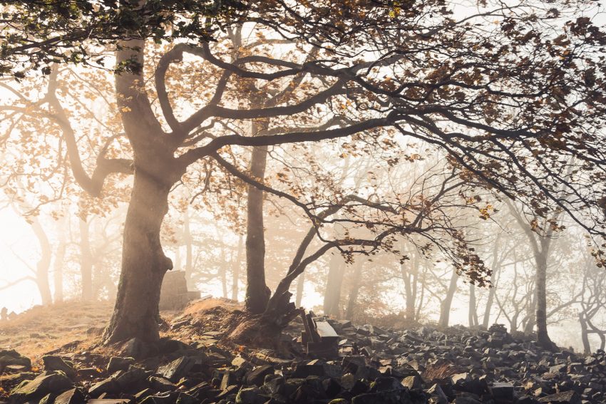 LoRes_HiRes__DSF2748