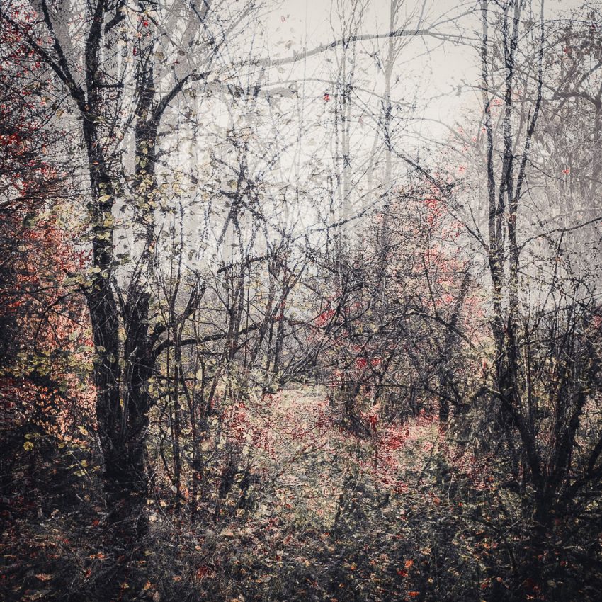 LoRes_HiRes__DSF3866